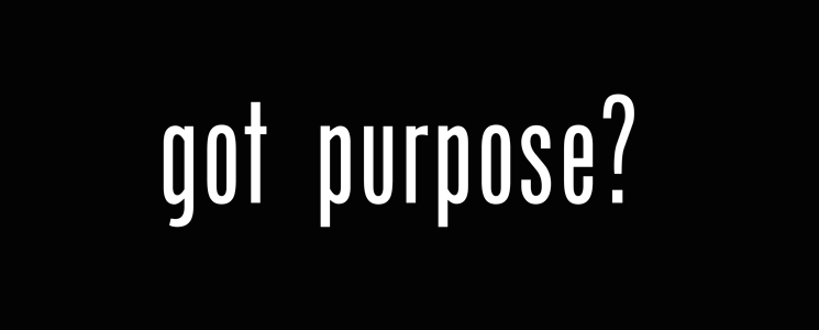 Got Purpose?