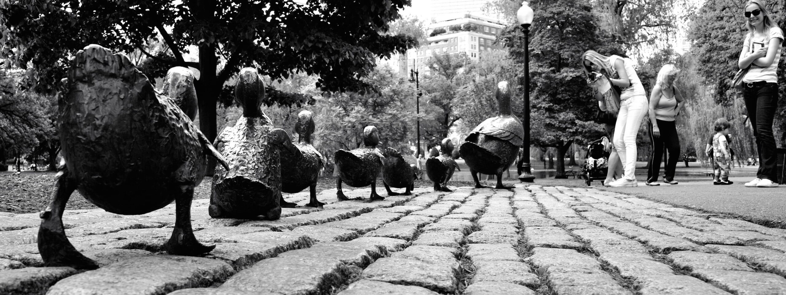 Law firm Twitter Followers