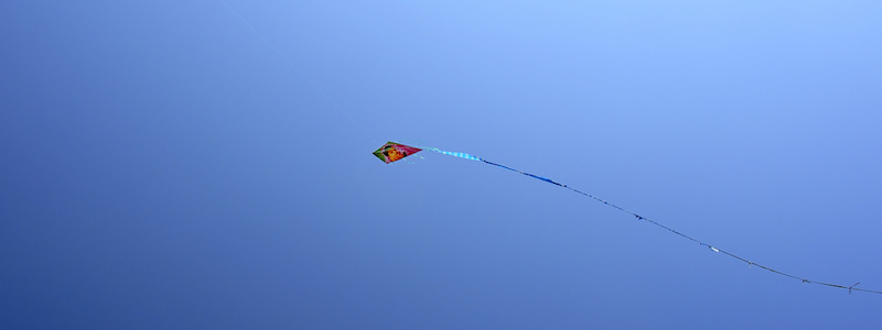 blogs travel on social networks