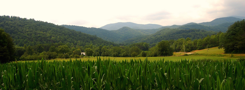 Law Blogs and poetry