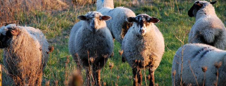 do prospective clients know you