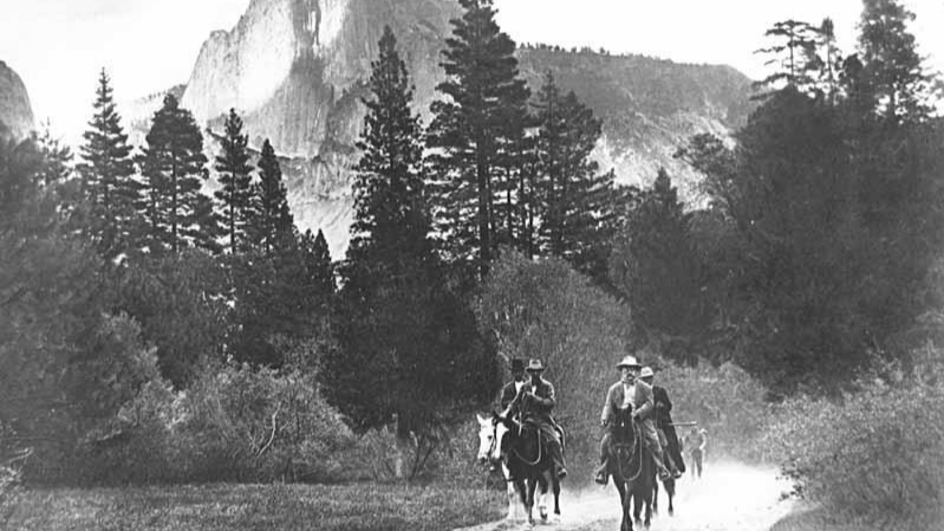 00A1E9B2-A3D8-4D97-88A4-8C6CD738FFEC