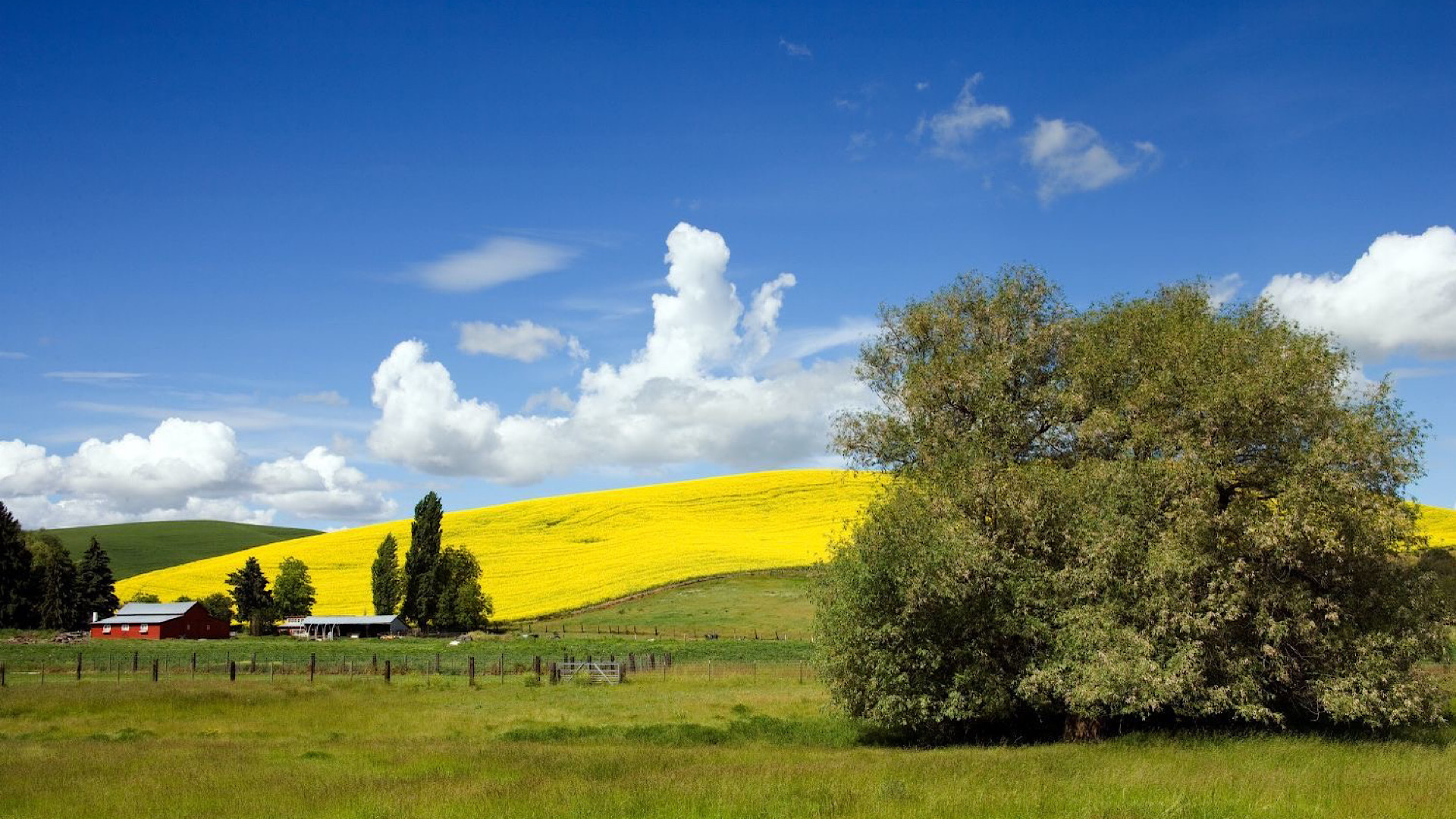 3800BB9C-D718-43DA-A0C8-9F4955C7C3C7