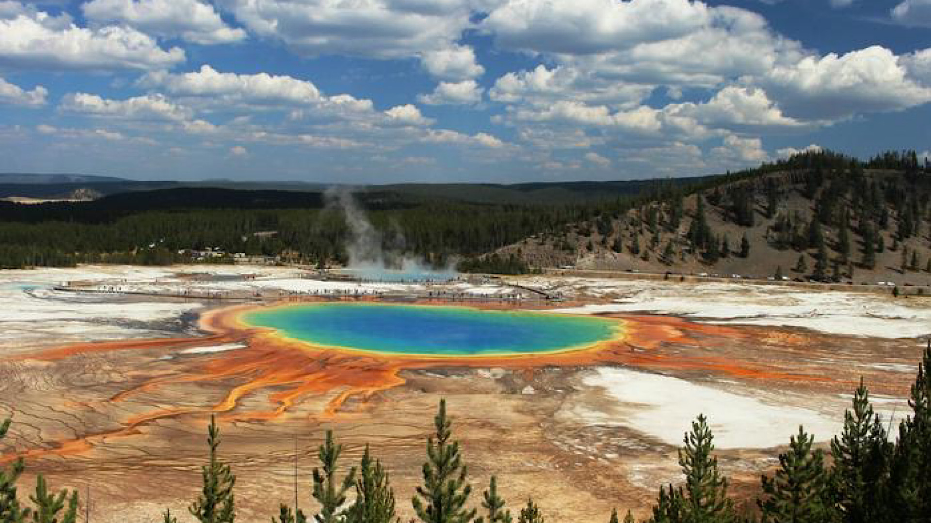 6A6D8F47-C11E-46D5-B21F-3509403C7DAD