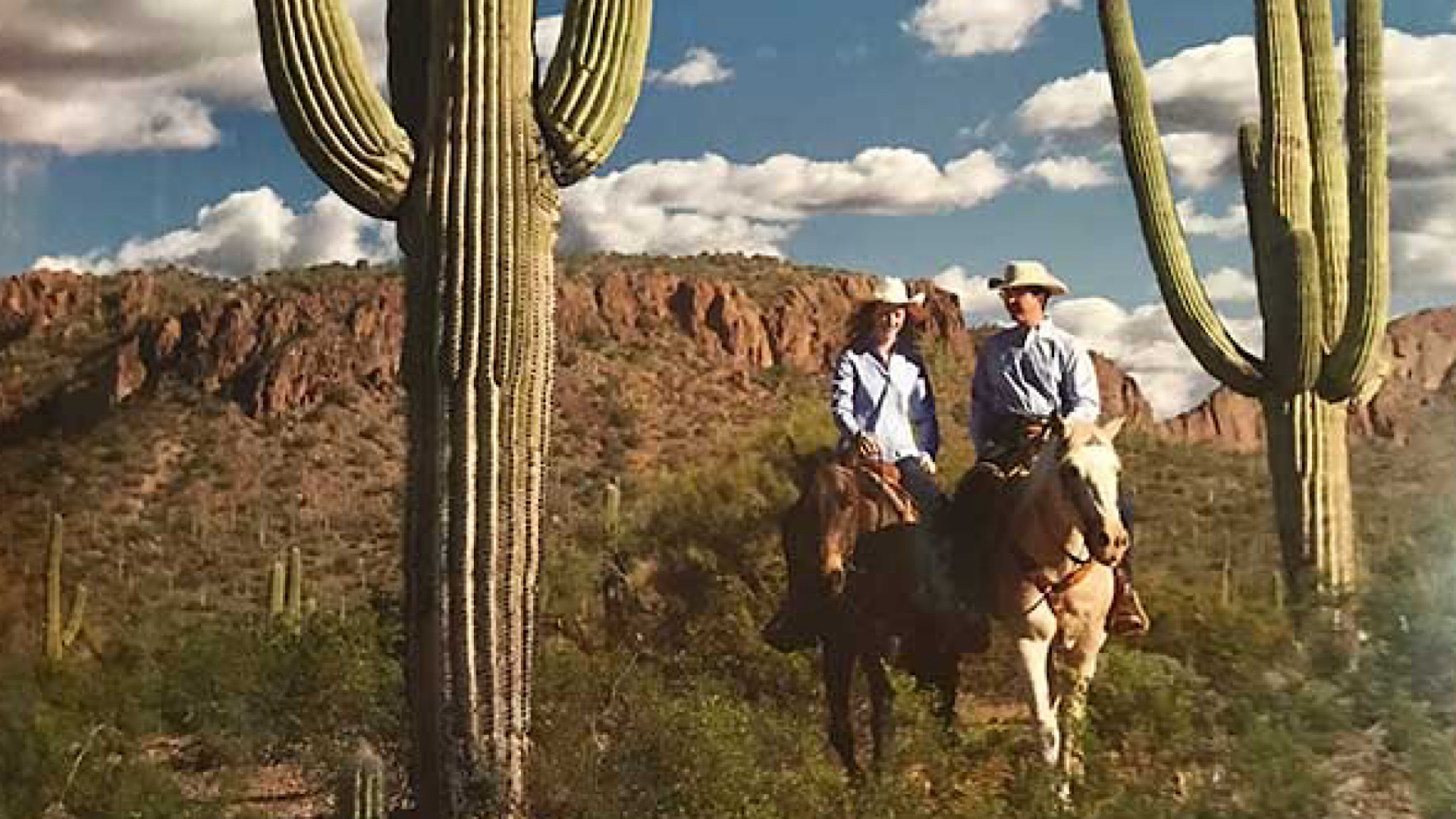 95D9D418-C8F9-4968-B0C9-A24DDF670DCC