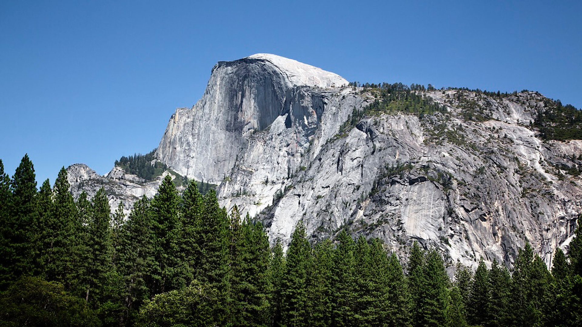 DC008279-60FD-4157-941B-8F88F0E38EF5