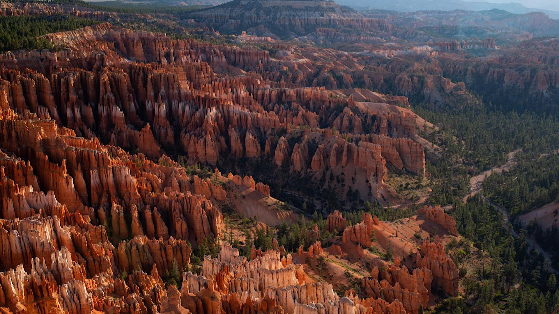 FF783518-BE6E-437A-B0FC-6403C6810887