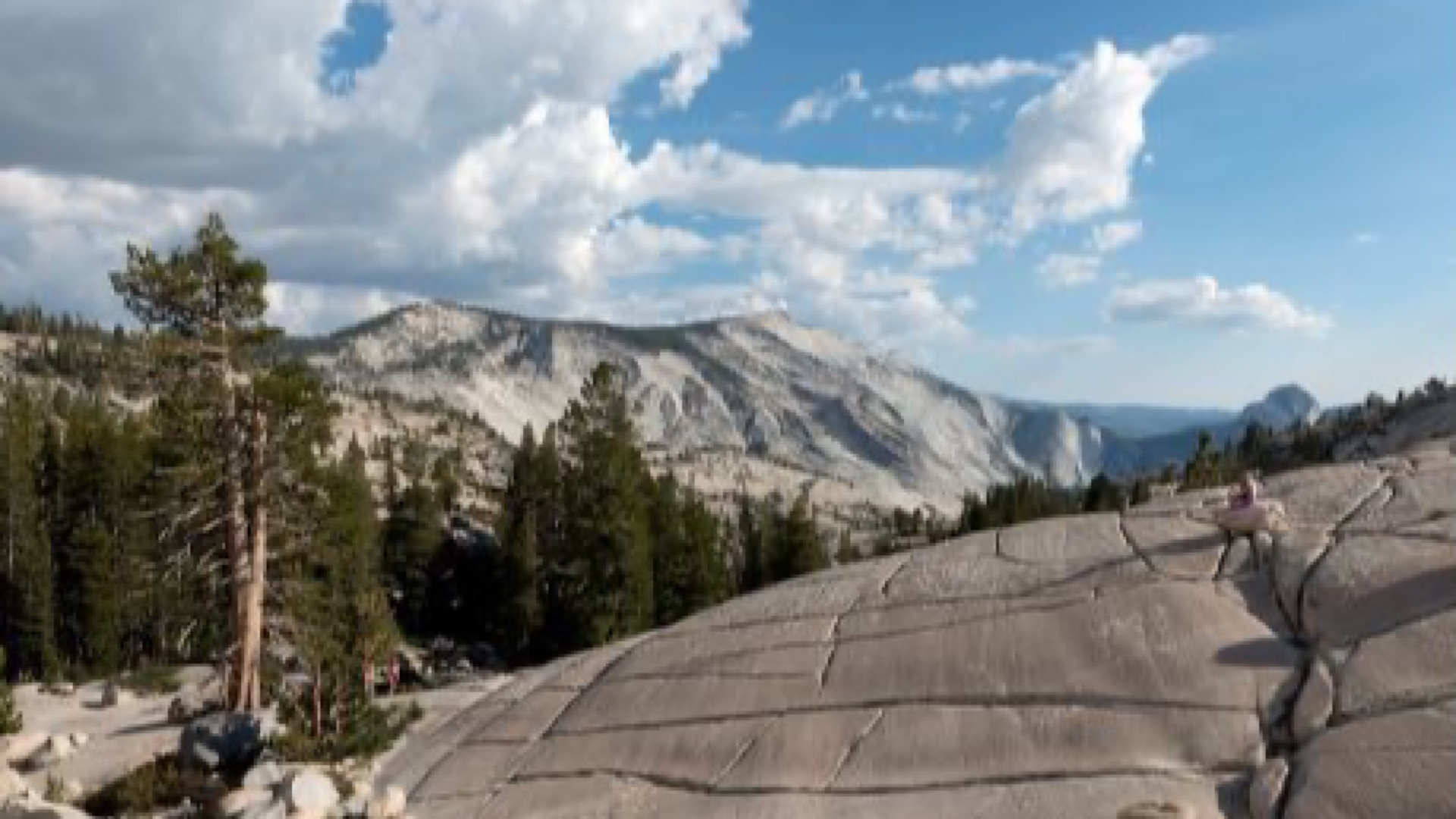 130909E2-9E09-46BF-8F23-A733D398C1C0