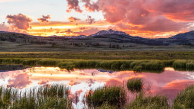 358E035C-F365-4081-8FDF-D3AD828998D8