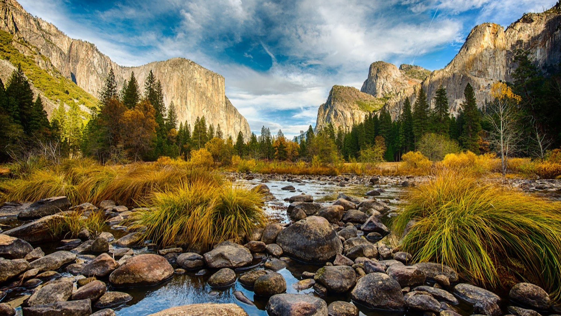 5EF7F821-81FE-4868-A3B4-5363E93FCB34