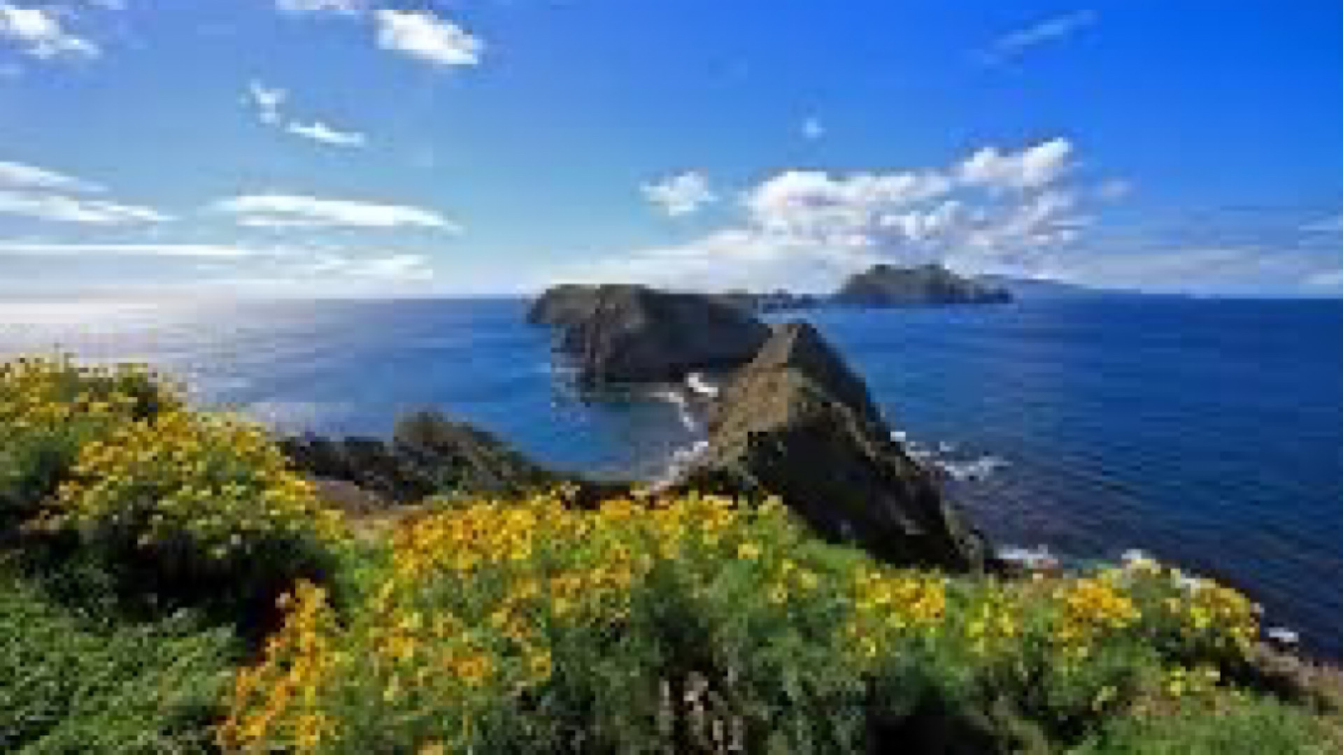 69969911-199A-45CA-9DCD-D65C558264AE