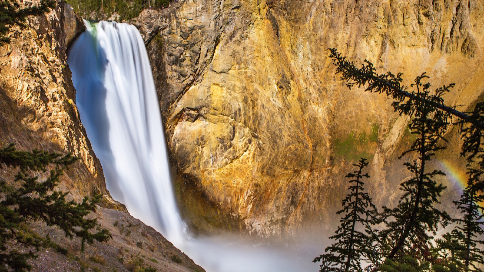 8BC1282F-9DDC-46D1-A8D2-BDB10BCBD214