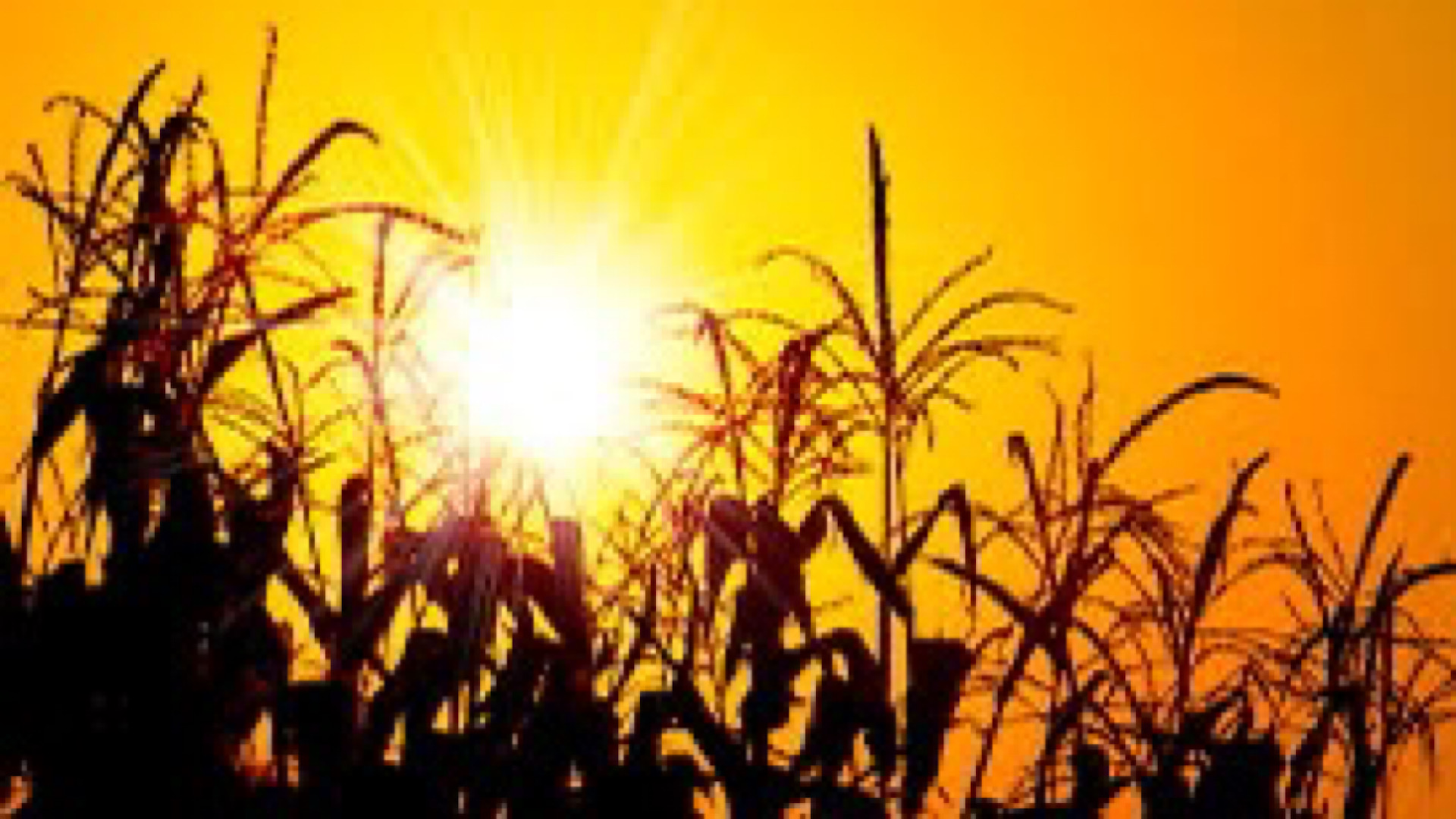 AE4D9298-46EA-479E-9957-76955086E6B3