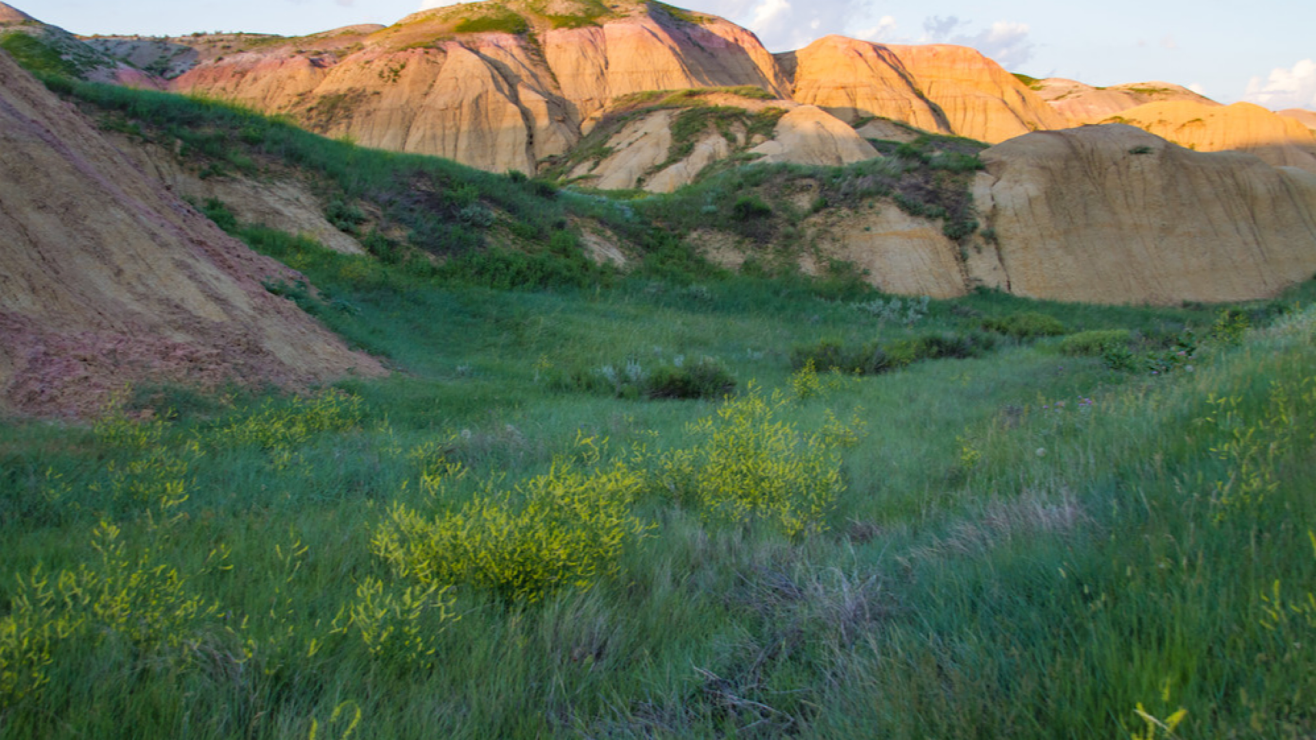 C16E1ADE-178A-4691-8BA5-BD637F6F5EC1