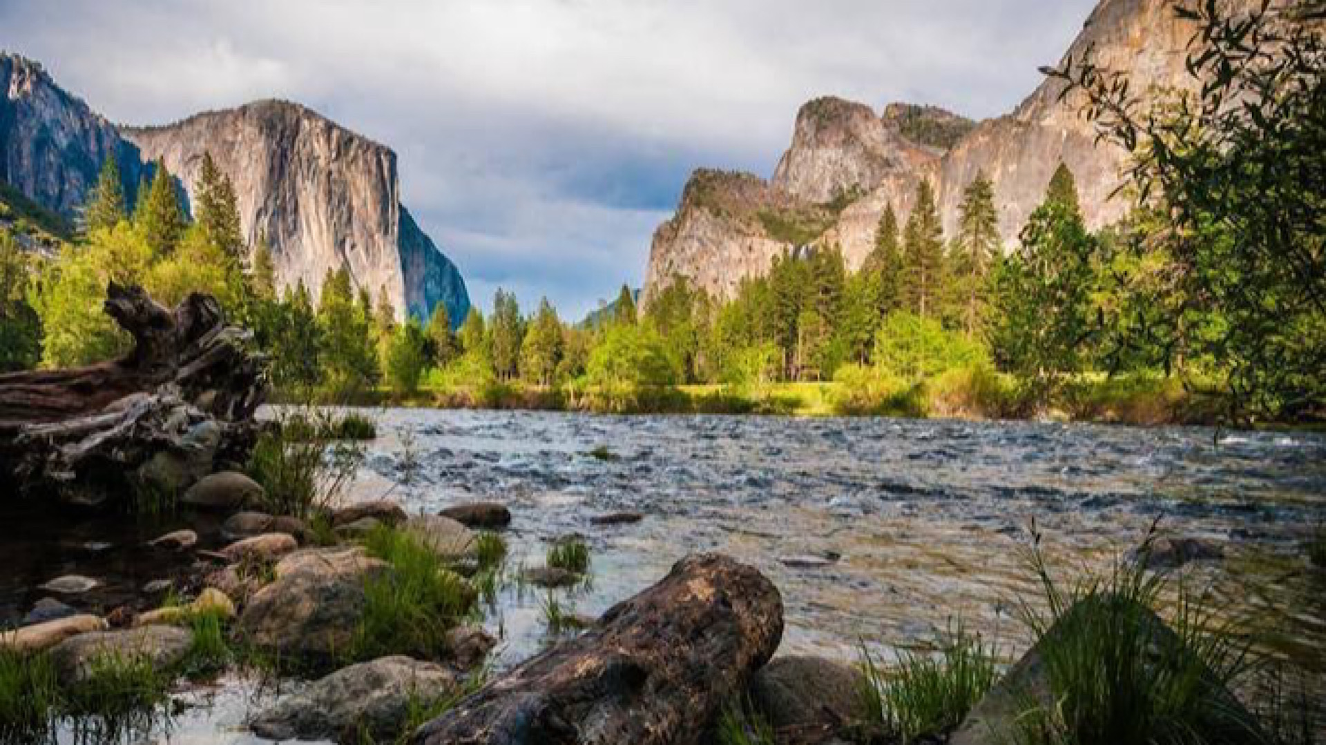 C405A596-A6EE-445D-A46F-5F1A49A24951