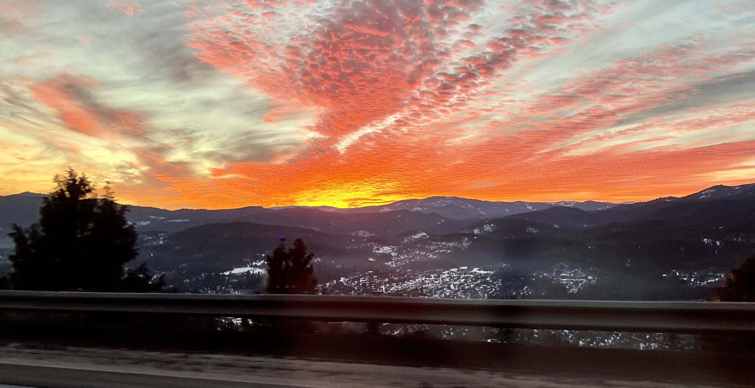 6B78FF20-0D2B-4E94-94D8-A8B45857D692